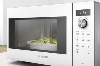 Microwave Repair